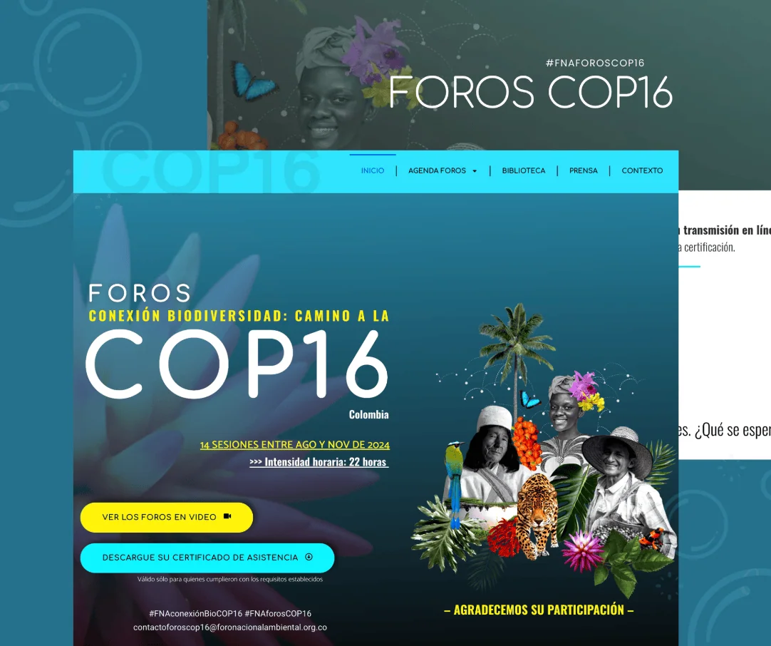 COP 16